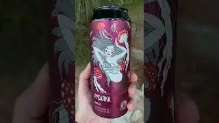 SOUR ALE | РУСАЛКА | Пивоварня BREWLOK  #пиво #еда #beer #обзор #shorts #shortsvideo