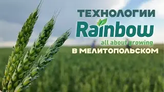 Как работают технологии защиты и питания растений  компании Rainbow в ТОО "Мелитопольское"