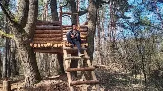 Домик на 4-ох дубах из поваленных деревьев