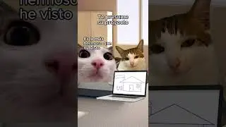 ¡Etiqueta a tu pareja para 100 años más juntos! #shorts #arquitectura #maqueta #meme #gato