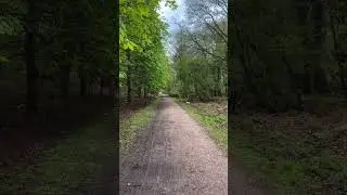 Bassika: Act 1 Forest Walks Pt 2 