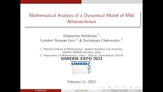 Mathematical Analysis of a Dynamical Model of Mild Atherosclerosis