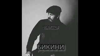 TemiRiS - 