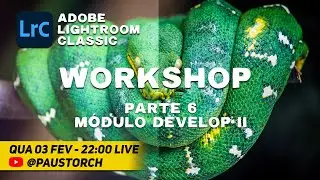Workshop Adobe Lightroom Classic - Parte 06 - Módulo Develop II