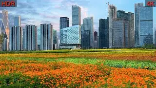 Hangzhou Asian Games Village: Large flower fields, come and see where the athletes live!