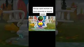Мем 1070