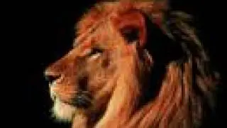 South Africa my land
