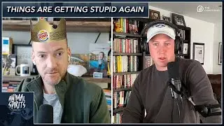 Things Are Getting Stupid Again | Animal Spirits 350