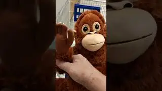 НЕОЖИДАННАЯ ВСТРЕЧА ГЕРМАНИЯ