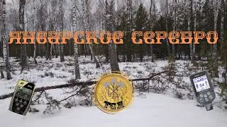 Январское серебро. Коп с XP ORX (ОРК) и Nokta makro simplex + (нокта макро симплекс плюс)
