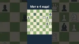 #шахматы #шортс