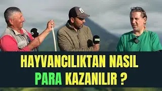 ADANA YUMURTALIK' TAYIZ  l ADIM ADIM HAYVANCILIK