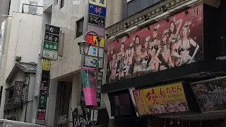 Back Streets Of Ueno, Tokyo. An Open Air Market And A Red Light District.