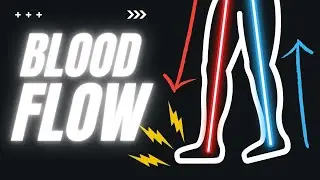 Improve Blood Flow In Your Legs & Feet, Without Exercise!