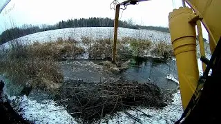 Busting A Beaver Dam Long Reach Excavator