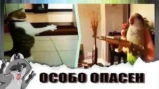 Funny videos about animals 2019 // Funny animals to the music // Vesely Shura_