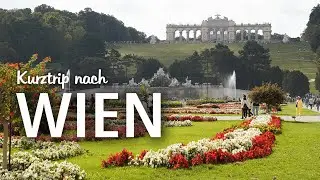 4 Tage in Wien – Reisevlog mit Kultur, lecker essen und laufen