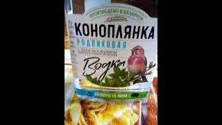 31 марта 2023 г.