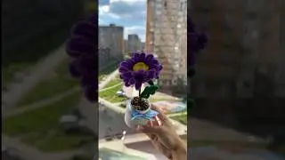 Новый цветок в горшке своими руками!