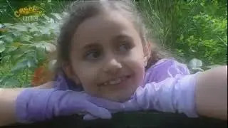 Boogie Beebies - Brave Prince: Monday (2006)
