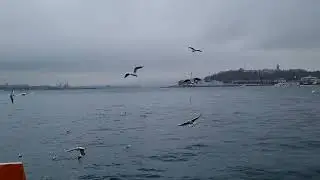 Galataport Istanbul Bosphorus