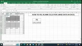 HOW TO FILL BLANK CELLS FOR LARGE DATA IN EXCEL #excel #exceltips #exceltutorial #exceltricks