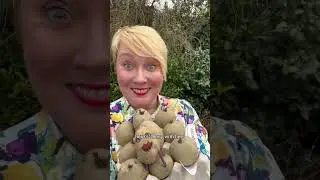 Chitting Potatoes Update | Growing potatoes at home for the first time!