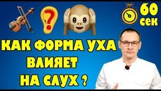 УДИВИТЕЛЬНЫЙ ФАКТ ОБ УШАХ. Тело человека за 60 секунд
