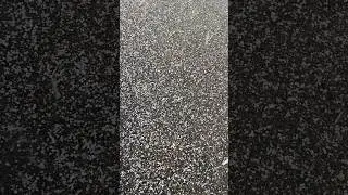 Snow/ снег