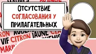 Свобода слов: Прилагательные и их собственные законы во Французском! Урок №12