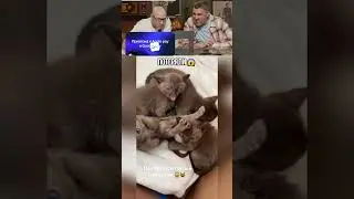 Потеряли😱