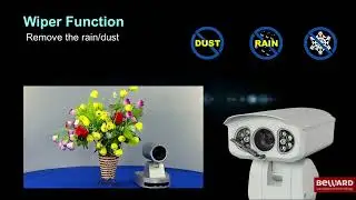 Network Heavy-load PTZ Camera