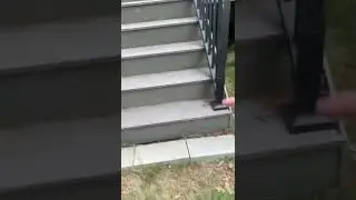 Наша Белла учиться ход ты без поводка. Подпишитесь спасибо 🙏🏻🙏🏻🙏🏻