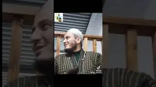 Кисай бехтарин