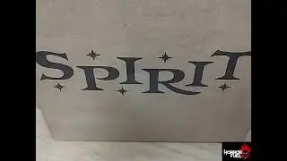 Spirit Halloween Unboxing