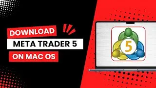 How To Download & Install MetaTrader 5 On MacOS