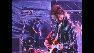 Aerosmith Falling In Love Costa Rica 2010 - PRO SHOT