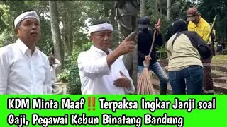 KDM Minta Maaf Terpaksa Ingkar Janji soal Gaji, Pegawai Kebun Binatang Bandung⁉️