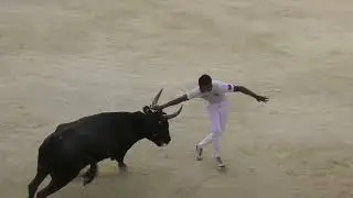 ST GEORGES D'ORQUES (24/08/2024) - Le résumé de la course