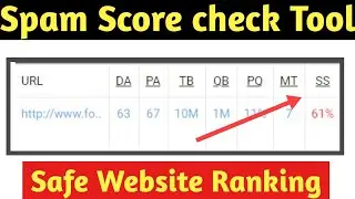 Website domain spam score checker online tool | Website Spam Score Checker