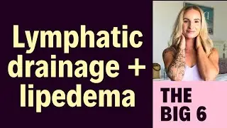 Lymphatic drainage + the big 6