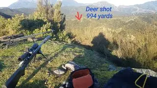 Deer shot at 994 Yards - 7mm SAUM