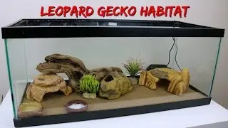 SETTING UP MY LEOPARD GECKO'S NEW HABITAT