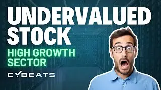 Undervalued Stock in a High Growth Sector
