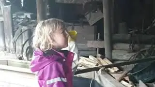 Меняем золото на золотую монету😅