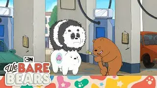 Taxi Bears? Would You Take a Ride? It Might Be Bumpy! | We Bare Bears | Cartoon Network