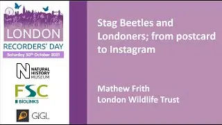Stag Beetles and Londoners; from postcard to Instagram, Mathew Frith (LWT)