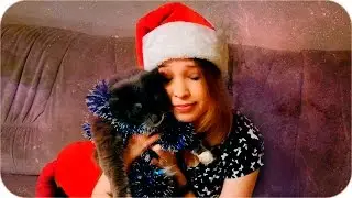 С НОВЫМ 2017 ГОДОМ!