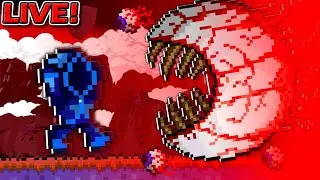 🔴TERRARIA FARGOS SOULS TERRARIA STUFF🔴