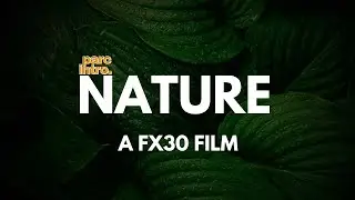 Sony FX30 Cinematic 4K Nature Film 2024 | Stunning FX30 4k Footage